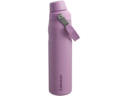 9803 the aerolight iceflow water bottle fast flow 0 6l 20oz lilac