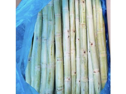 Mía cắt khúc 50cm 10kg