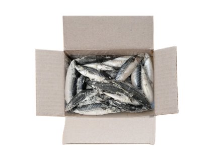 Makrela obecná (400-600g) 20kg