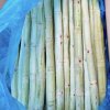 Sugar canes pieces 50cm 10kg