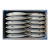 Mackerel with roe 10kg