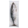 Striped bonito whole, box 10kg