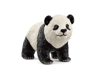 1508387 zvieratko mlada pandy velkej