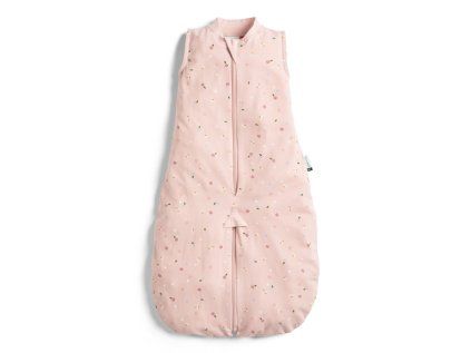 ZEPJS 0.2T08 24MDA23