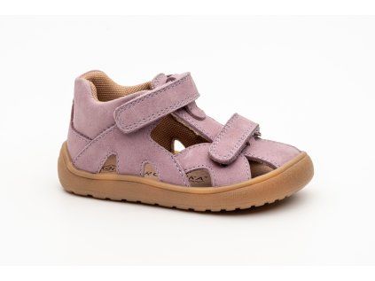 HANA purple 19 26 a 27 36
