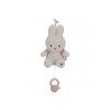 Little Dutch Hudební králíček (Varianta Miffy Lucky Blossom)