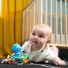 1415468 9 baby einstein hryzacka hrkalka opus s shake soothe 0m