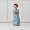 SleepSuitBag 0.2T Dragonflies Bag Toddler