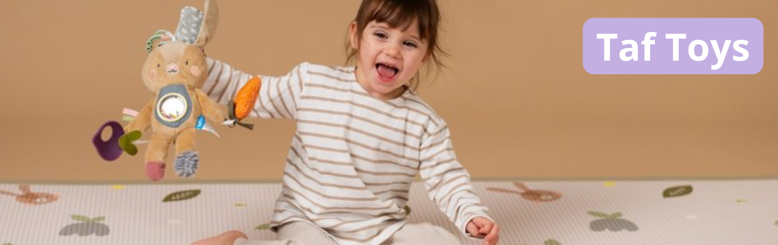 Taf Toys