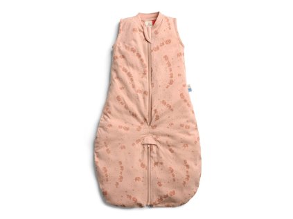 ZEPJS 0.2T08 24MEP25