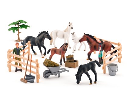 1490426 suprava koni s lipicanom