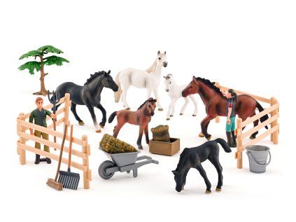 1515885 suprava koni s lipicanom