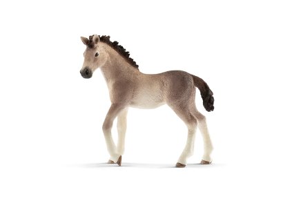 1492283 zvieratko andaluzske zrieba