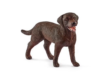 1492298 zvieratko fena retrievera