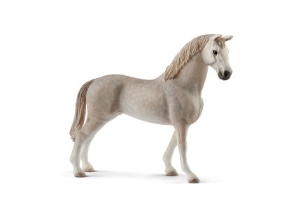 1492307 zvieratko holstajnsky valach