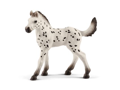 1492325 zvieratko zrieba knabstruppskeho kona