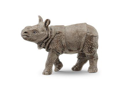 1508321 zvieratko mlada nosorozca indickeho