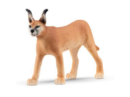 1508339 zvieratko samica karakala