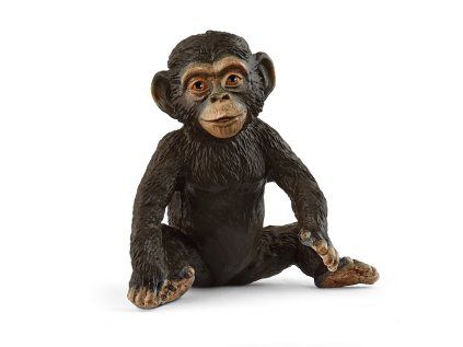 1508381 zvieratko simpanzie mlada