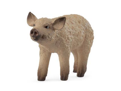 1508408 zvieratko prasiatko mangalica