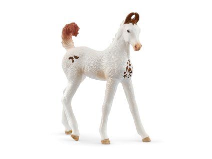 1508411 zvieratko zrieba marwari