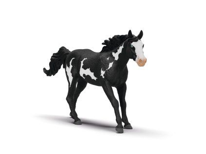 1508423 zvieratko valach paint horse