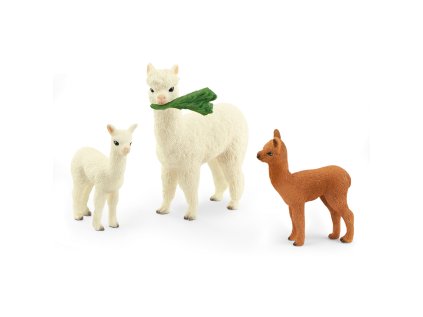 1492808 rodina lam alpaka