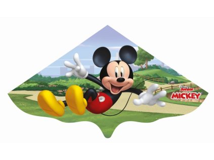 1465547 gunther sarkan mickey mouse