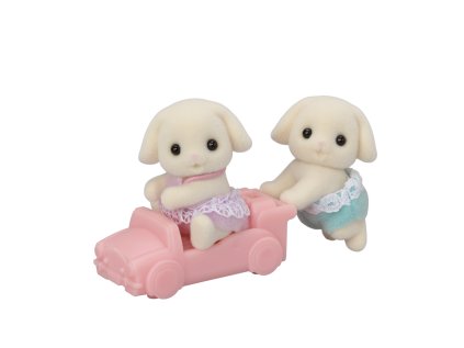 1496597 dvojcata flora kraliky