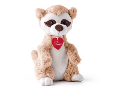 1496753 surikata djamila