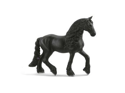 1512218 zvieratko kobyla friska