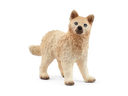 1503089 zvieratko mlada vlka arktickeho