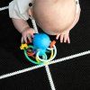 1522712 12 baby einstein hryzacka hrkalka opus s shake soothe 0m