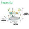 1415981 4 ingenuity aktivne centrum 6v1 tummy to toes milestones 0m