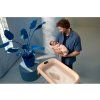 Maxi-Cosi mózeskosár Indigo Plus tompított (változat Terra)