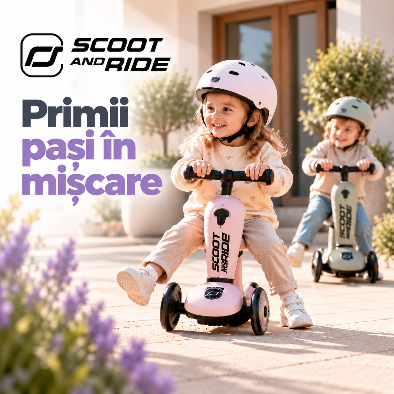 scoot