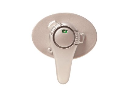 G1004