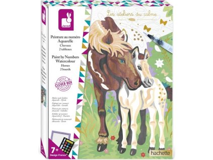 e511c8ff5a26855c697552df6062ca52