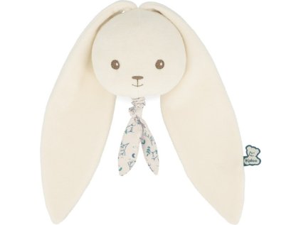 c426db905143c51d37f192bc25ce5209