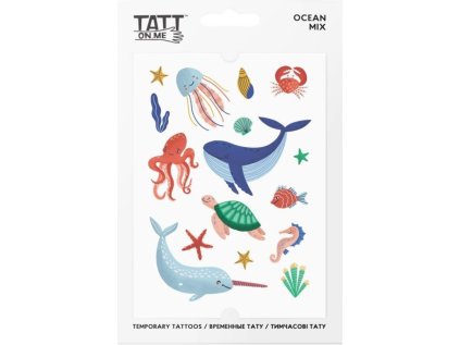 81dcbddbdd372d07d7b75a9a85fdb4ca