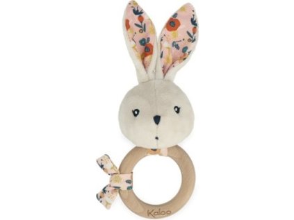 58c7b923c45135a41386bb30277d5258