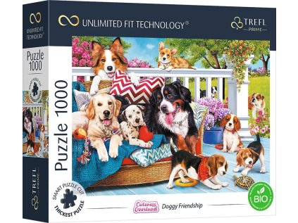 fe807309d879b101cf105d5f2e4cf6a8