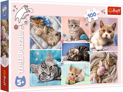 9b89f5f556637d2c1d57ef97e04aa0bb