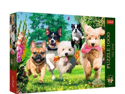 25317a47d1bcf2f17ec1cea2e0d58abb