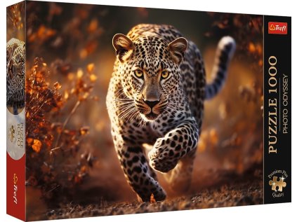 bf42db0bd279aaa014dfa94324dca377