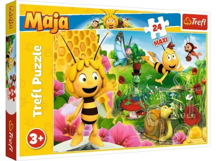 61dd41cb9971c07fa1256b5824ec5c0e