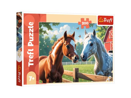 25e4853b74208ec21697b1027f3a8719