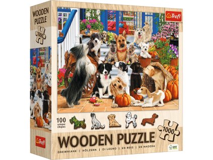 f43838db025a7556b52397b0f56ba5a8