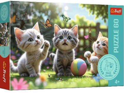 fbfc6a2751e8c2edfa4f862402e851a3