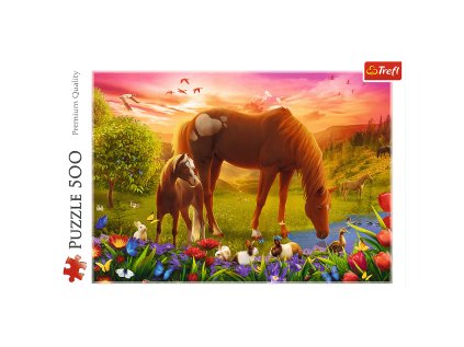 7e5932ae01d1281c5d8c2358c1ac44b7